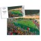 Kingfield Stadium Fine Art Jigsaw Puzzle - Woking Football Club Kingfield Stadium Fine Art Jigsaw Puzzle - Woking Football Club